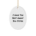 Funny Big Sister Gifts from Men - I Have The Best Great Big Sister Oval Ornament for Christmas - Image 1