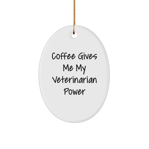 Funny Veterinarian Christmas Oval Ornament Gifts from Friends and Family for Veterinarian Coworkers - Image 1