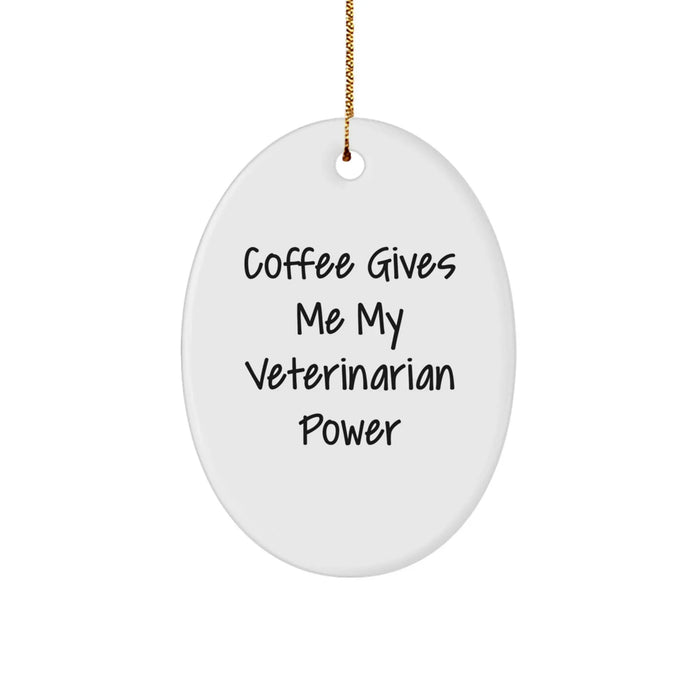 Funny Veterinarian Christmas Oval Ornament Gifts from Friends and Family for Veterinarian Coworkers - Image 1