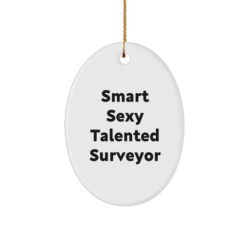 Gifts for the Funny Smart Sexy Talented Surveyor, Oval Ornament - Christmas Unique Gifts from Friends Family Christmas - Image 1
