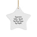 Funny Insurance Sales Agent Star Ornament Gifts from Family for Insurance Sales Agent By Day. Ninja By Night. - Image 1