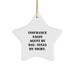 Funny Insurance Sales Agent Gifts from Friends Star Ornament for Insurance Sales Agent By Day. Ninja By Night. - Image 1