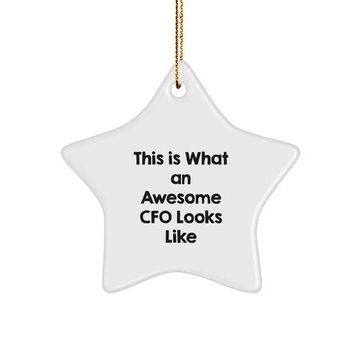 Funny CFO Gifts from Friends - This Is What An Awesome CFO Looks Like Star Ornament, White, Christmas Unique Gifts for CFO Men, Women, Family, Coworkers - Image 1