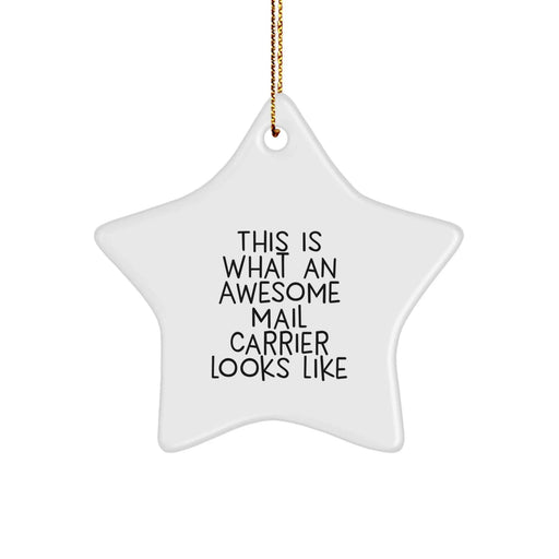 Funny Mail Carrier Gifts from Family for Christmas Unique Star Ornament - Awesome Mail Carrier Star Decor - Image 1