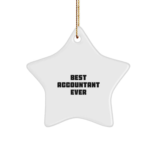 Funny Quote Gifts for Accountants, Star Ornament Christmas Unique Gifts from Friends, Coworkers, Family - Best Accountant Ever - Image 1