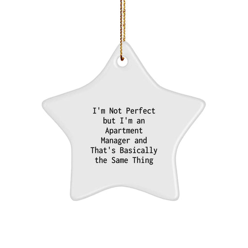Funny Apartment Manager Gifts, Star Ornament for Apartment Manager Friends Christmas Unique Gifts, Gifts from Friends to Apartment Manager - Image 1
