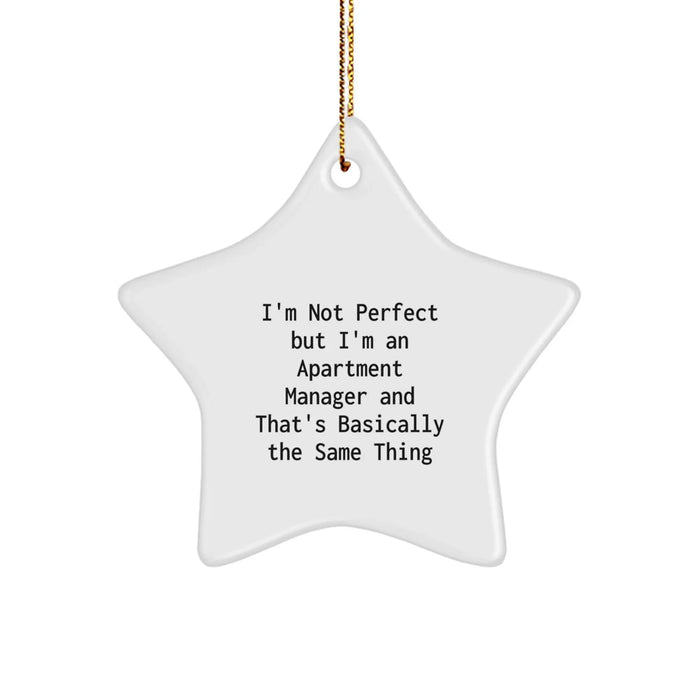 Funny Apartment Manager Gifts, Star Ornament for Apartment Manager Friends Christmas Unique Gifts, Gifts from Friends to Apartment Manager - Image 1