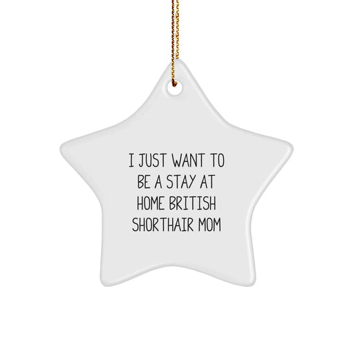 Funny British Shorthair Cat Gifts, Star Ornament for British Shorthair Cat Mom, Christmas Unique Gifts from Friends to Family - Image 1