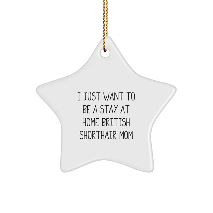 Funny British Shorthair Cat Gifts, Star Ornament for British Shorthair Cat Mom, Christmas Unique Gifts from Friends to Family - Image 1