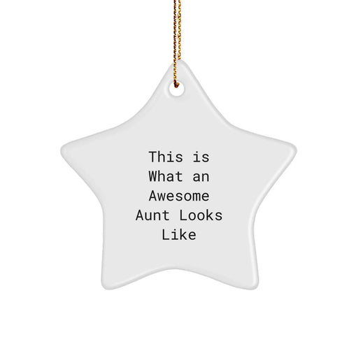 Funny Aunt Gifts from Men, Funny Star Ornament for Aunt, This Is What 'An Awesome Aunt Looks Like' Christmas Unique Gifts - Image 1