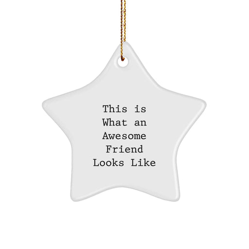 Funny Star Ornaments Gifts for Friends from Men - This Is What 'An Awesome Friend Looks Like' Christmas Unique Gifts - Image 1