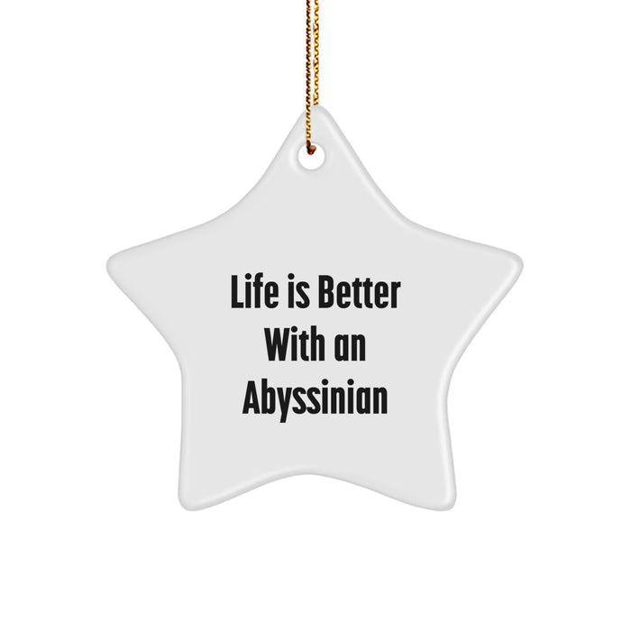 Abyssinian Cat Star Ornament Gifts from Friends for Christmas - Life Is Better With An Abyssinian - Image 1