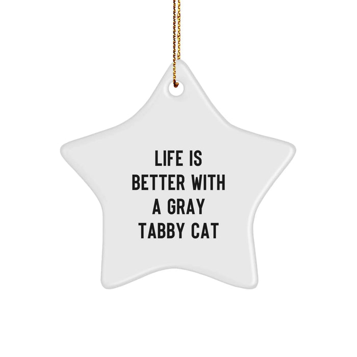 Gray Tabby Cat Star Ornament Gifts from Friends and Family for Christmas Cheer - Image 1