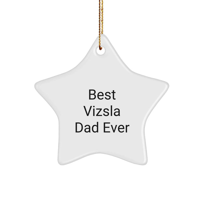 Vizsla Dad Gifts from Men, Funny Star Ornament for Vizsla Dog Lovers at Christmas - Image 1