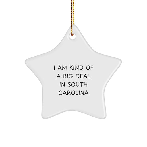 Funny Star Ornament Gifts from Men to Family in South Carolina, Christmas Unique Gifts for Women from Friends - Image 1