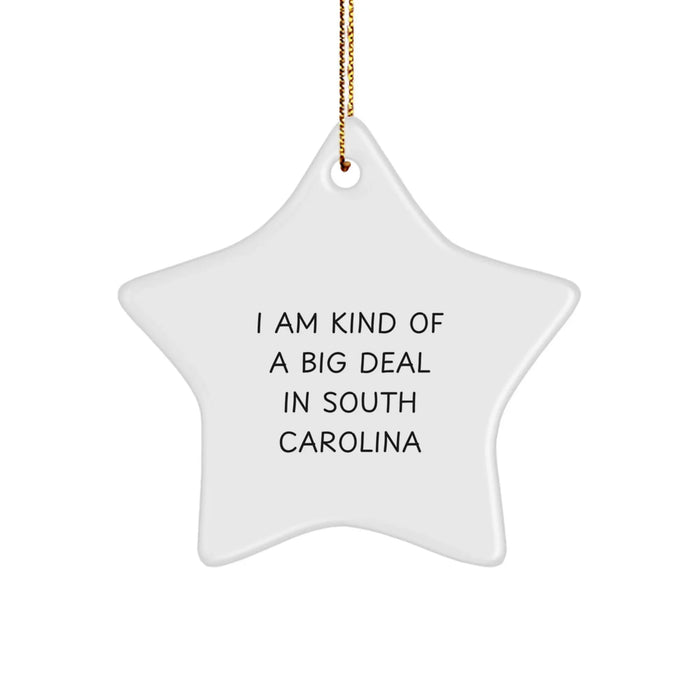 Funny Star Ornament Gifts from Men to Family in South Carolina, Christmas Unique Gifts for Women from Friends - Image 1