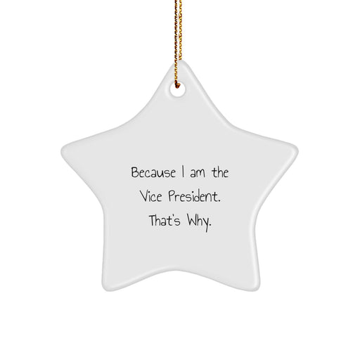 Funny Vice President Star Ornament Gifts from Friends for Vice President, Christmas Unique Gifts, Star Ornament Vice President - Image 1
