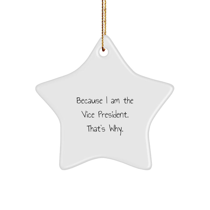 Funny Vice President Star Ornament Gifts from Friends for Vice President, Christmas Unique Gifts, Star Ornament Vice President - Image 1