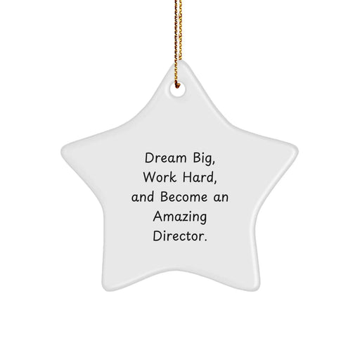 Funny Star Ornaments Gifts from Men to Director Friends, Inspirational Director Gifts for Christmas Unique - Image 1