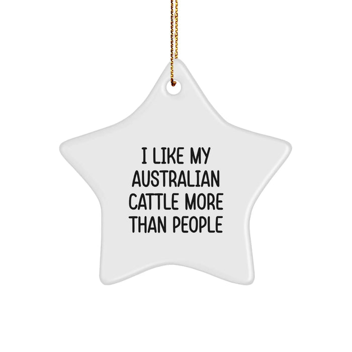Funny Australian Cattle Dog Gifts - I Like My Australian Cattle More Than People Star Ornament for Christmas - Image 1