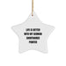 German Shorthaired Pointer Dog Star Ornament Gifts for Him From, Life Is Better With My German Shorthaired Pointer, Cute Christmas Unique Gifts for Friends - Image 1