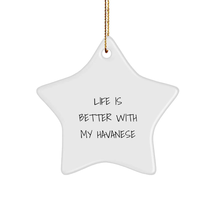 Funny Havanese Dog Gifts from Friends - Life Is Better With My Havanese Star Ornament for Christmas Unique Gifts - Image 1
