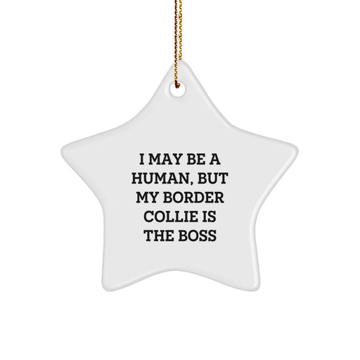 Funny Border Collie Dog Christmas Star Ornament Gifts from Men to Friends - Image 1