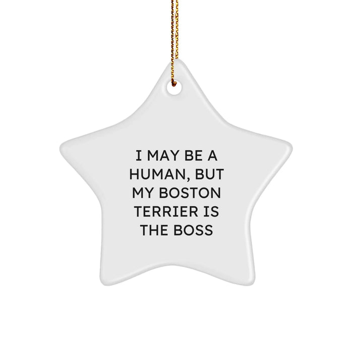 Funny Boston Terrier Dog Gifts from Friends - Christmas Unique Gifts for Boston Terrier Dog Owners - Star Ornament with I May Be A Human, But My Boston Terrier Is The Boss Quote - Image 1