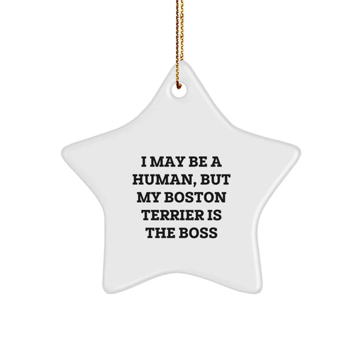 Funny Boston Terrier Dog Christmas Star Ornament Gifts from Men to Family - Image 1