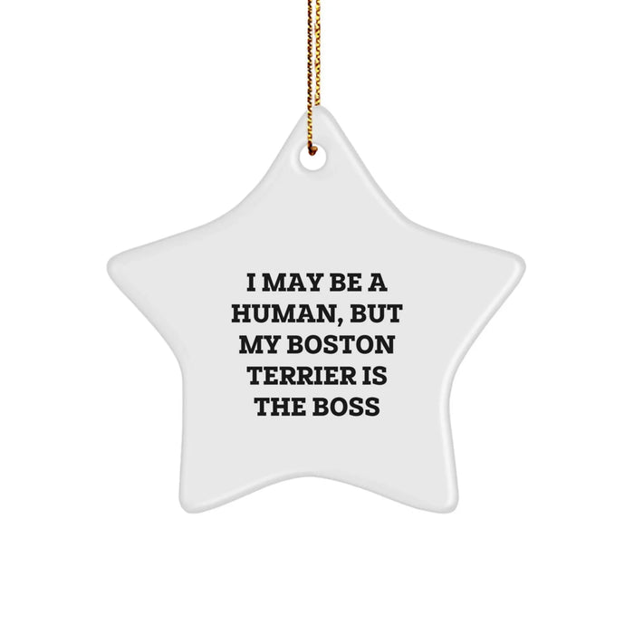 Funny Boston Terrier Dog Christmas Star Ornament Gifts from Men to Family - Image 1
