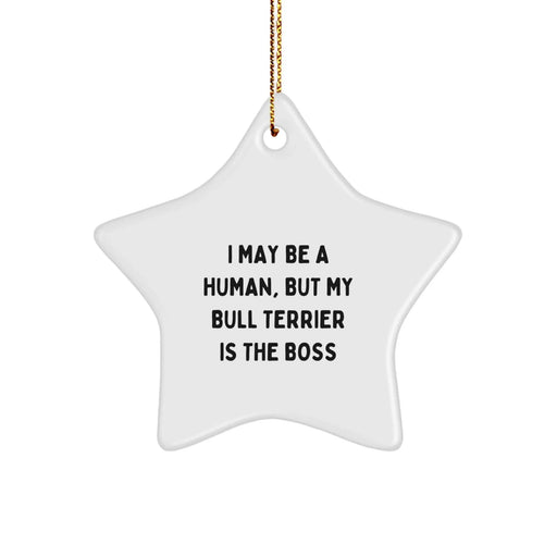 Funny Bull Terrier Dog Christmas Star Ornament Gifts from Men for Friends, Coworkers, Family - I May Be A Human But My Bull Terrier Is The Boss - Image 1