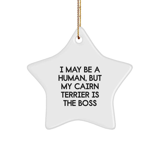 Cairn Terrier Dog Funny Gifts from Men, Women, Friends, or Family - I May Be A Human, But My Cairn Terrier Is The Boss Star Ornament Christmas Unique Gifts for Cairn Terrier Dog Lovers - Image 1