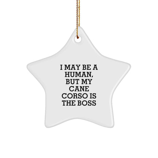 Funny Cane Corso Dog Lover Gifts from Family for Christmas Unique Star Ornament I May Be A Human, But My Cane Corso Is The Boss - Image 1