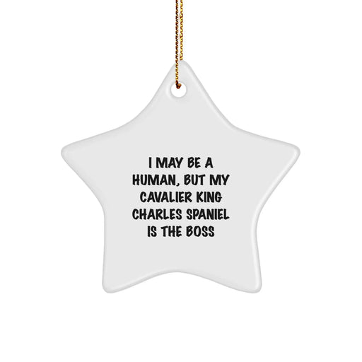 Funny Cavalier King Charles Spaniel Dog Gifts from Men for Women - Christmas Unique Star Ornament I May Be A Human, But My Cavalier King Charles Spaniel Is The Boss - Image 1