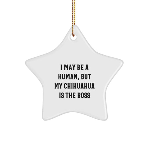 Funny Chihuahua Dog Gifts, Christmas Unique Gifts, Star Ornament for Chihuahua Lovers, Gifts from Family, Friends, Men, Women, I May Be A Human, But My Chihuahua Is The Boss - Image 1