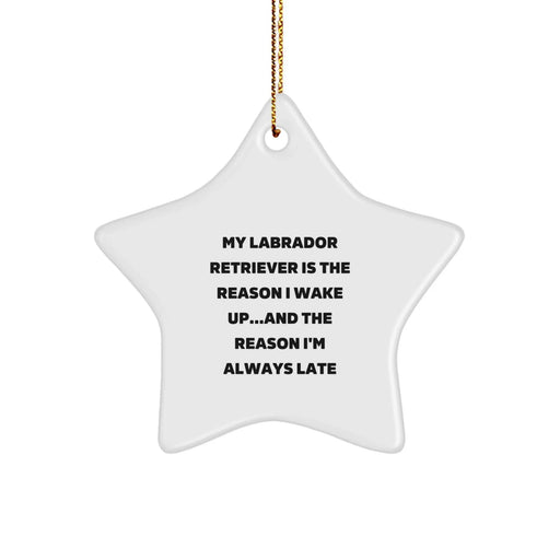 Funny Labrador Retriever Dog Christmas Ornaments Gifts from Friends, Funny Labrador Retriever Dog Star Ornaments, Funny Labrador Retriever Dog Star Ornament Christmas Unique Gifts - Image 1