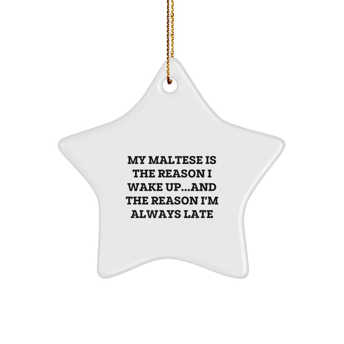 Funny Maltese Dog Star Ornament Gifts from Men to Family for Christmas Unique - Image 1