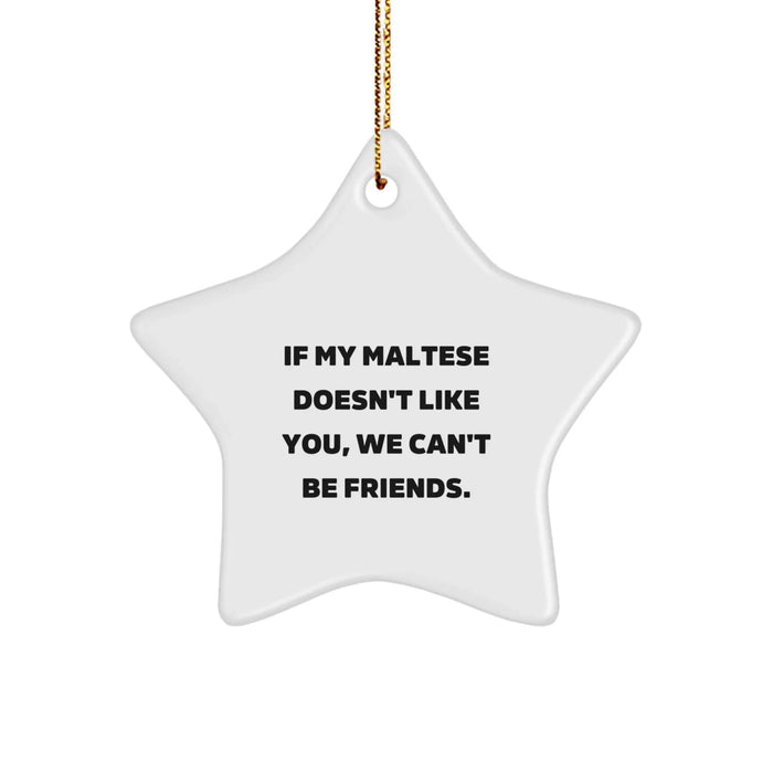 Funny Maltese Dog Gifts, Star Ornament for Christmas - 'If My Maltese Doesn't Like You, We Can't Be Friends.' from Family, Friends, and Coworkers - Image 1