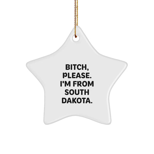 Funny South Dakota Star Ornament Gifts from Friends for South Dakotans, B-tch, Please! - Image 1