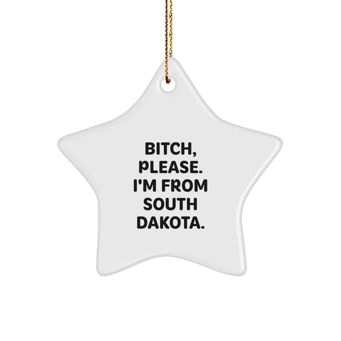 Funny South Dakota Star Ornament Gifts from Friends for South Dakotans, B-tch, Please! - Image 1