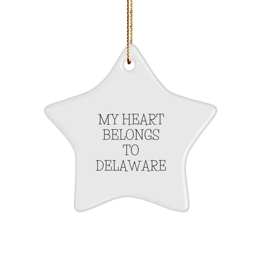 Delaware Gifts for Friends and Family, Funny Star Ornament, White Star Shaped Decoration, Christmas Unique Gifts from Delaware Lovers - Image 1