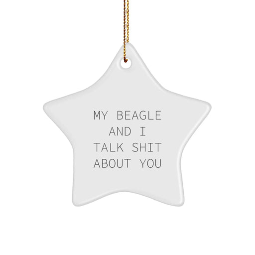 Funny Beagle Dog Gifts from Men to Family Members - My Beagle And I Talk Shit About You Star Ornament for Christmas Unique Gifts - Image 1