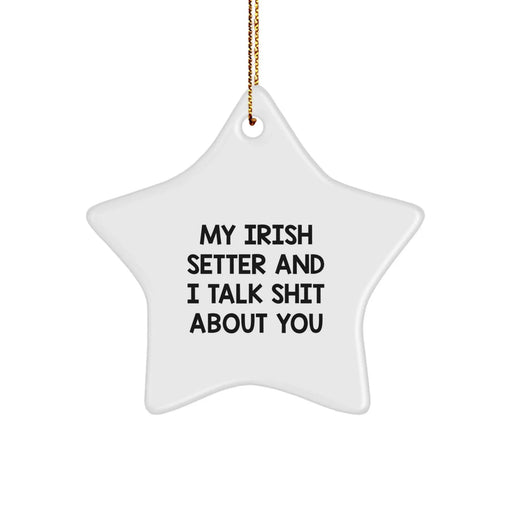 Funny Irish Setter Dog Gifts from Friends and Family for Christmas Unique Ornaments with Quote 'My Irish Setter And I Talk Shit About You' - Image 1