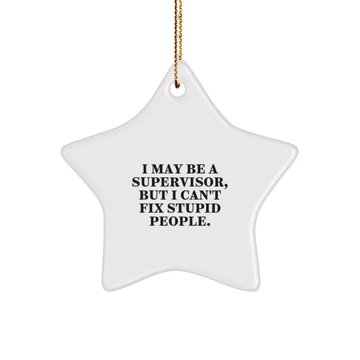 Funny Supervisor Gifts from Men for Supervisor Star Ornament I May Be A Supervisor But I Cant Fix Stupid People Christmas Unique - Image 1