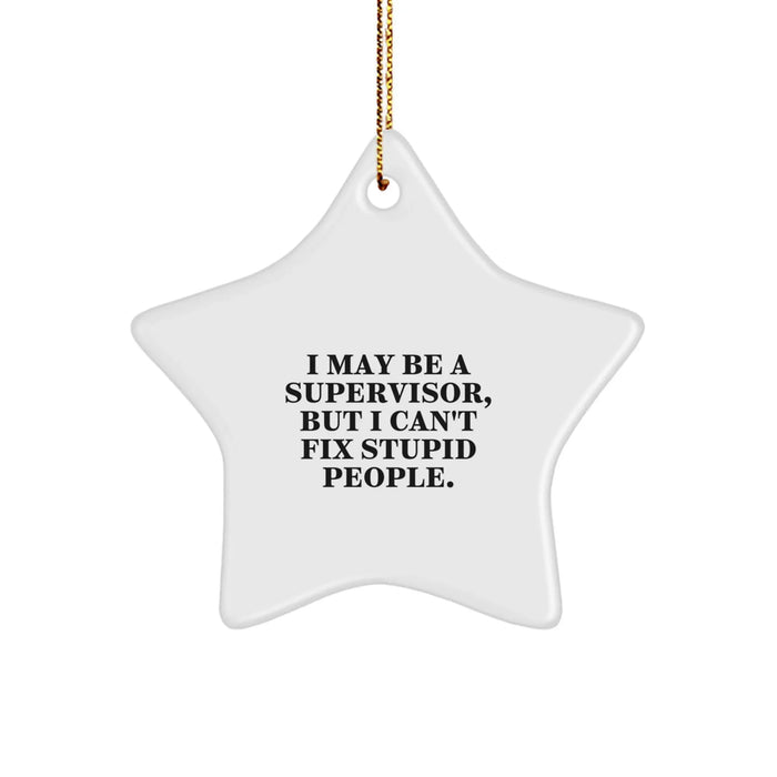 Funny Supervisor Gifts from Men for Supervisor Star Ornament I May Be A Supervisor But I Cant Fix Stupid People Christmas Unique - Image 1
