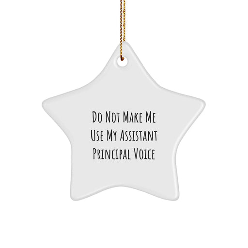 Funny Assistant Principal Gifts, Star Ornament with 'Do Not Make Me Use My Voice' Quote, Christmas Memorable Presents for Assistant Principal or Coworkers, Gifts from Friends to Family - Image 1