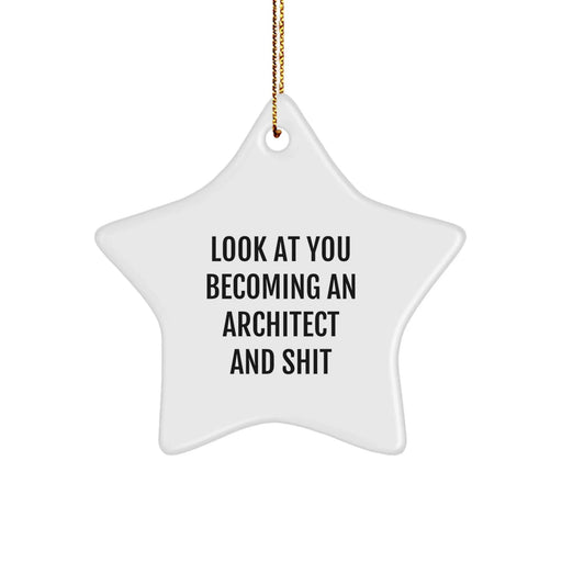 Funny Architect Gifts for Him, Unique Star Ornament, Look At You Becoming An Architect And Shit, Christmas Unique Presents from Friends to Family - Image 1