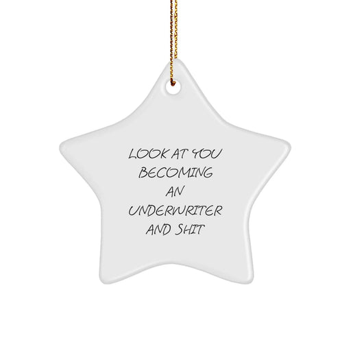 Funny Underwriter Gifts from Friends for Underwriters - Look At You Becoming An Underwriter And Shit, Star Ornament, Christmas Unique Decorations - Image 1