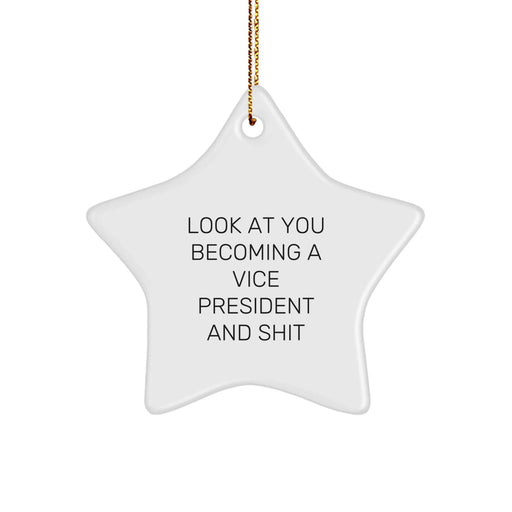 Funny Vice President Gifts, Look At You Becoming A Vice President And Shit, Star Ornament for Him, Her, Coworkers, Friends, Family, Gifts from Men, Women, Christmas Unique Presents - Image 1