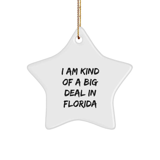Florida Star Ornament Gift for Friends from Florida - 'I Am Kind Of A Prime Selection In Florida' Christmas Decoration - Image 1